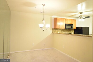 6510 Lake Park Dr unit T2, Greenbelt, MD 20770 - photo 5
