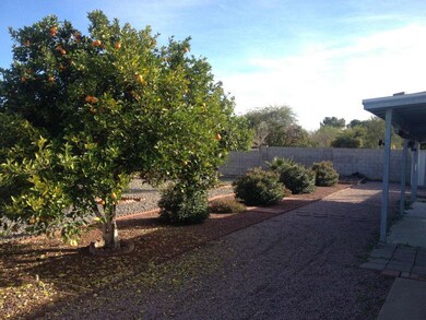 Terrific Landscaping