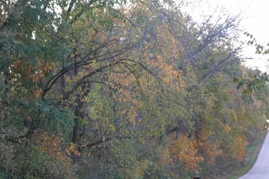 Lot 2 Mortensen Rd, Brooklyn, WI 53521 - photo 7