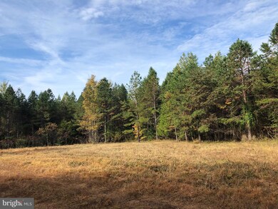 7700 Panier Rd, Spotsylvania, VA 22551 - photo 4