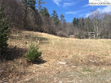 From Jennifer showing left side