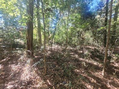 0 Lakeside Dr, Cleveland, TX 77327 - photo 2