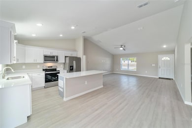 213 Malauka Run, Ocklawaha, FL 32179 - photo 6