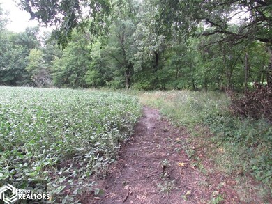 18400 Virga Ave, Bloomfield, IA 52537 - photo 4