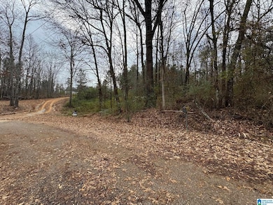 0 Winslow Ave unit 21438336, Anniston, AL 36206 - photo 7