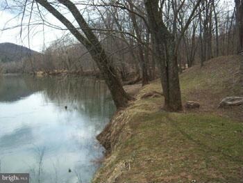 46 Honey Locust Ln, Great Cacapon, WV 25422 - photo 5