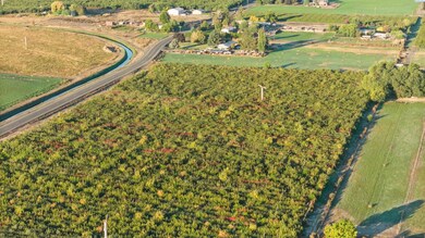 NNA Mt View Rd Grandview, Grandview, WA 98930 - photo 4