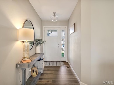 510 Cliff View Place, Valmeyer, IL 62295 - photo 6