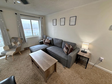 219 Mountain Lodge, Snowshoe, WV 26209 - photo 6