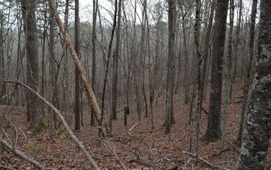 Additional View