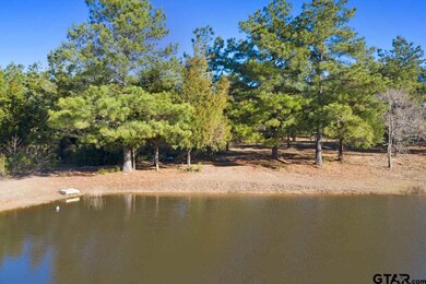 10938 County Road 233, Arp, TX 75750 - photo 2