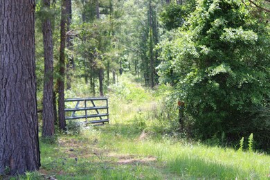 0 N Old Us Rd unit 23669197, Marianna, FL 32447 - photo 4