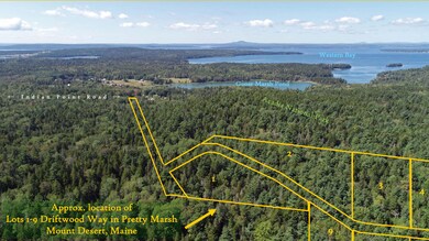 Aerial overlay 3