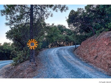 1257 Hanging Tree Rd, Murphys, CA 95247 - photo 4