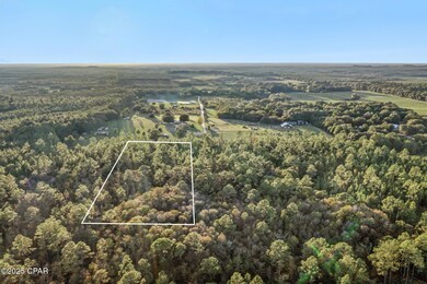 XXX Parrish Still Rd, Vernon, FL 32462 - photo 5