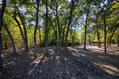 140 Macanudo Ln, Weatherford, TX 76085 - photo 6