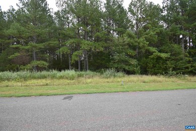 unlisted-address, Ruckersville, VA 22968 - photo 6