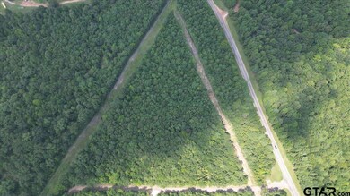 TBD Lot 2 Cactus Rd, Pittsburg, TX 75686 - photo 6