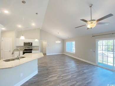 4011 Highway 905, Conway, SC 29526 - photo 4