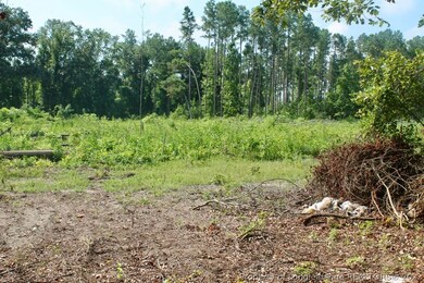 0 Laurinburg Road Hwy S unit 638026, Raeford, NC 28376 - photo 7