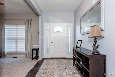 202 Burrograss Dr, Wentzville, MO 63385 - photo 6