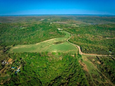 TBD Parcel#001-00664 Devils Den Rd, Winslow, AR 72959 - photo 5