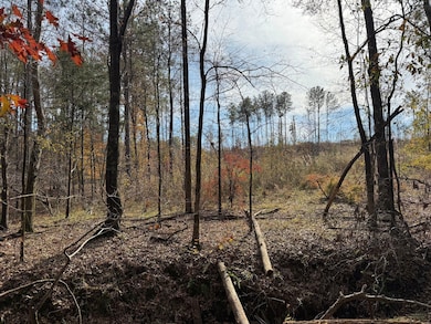 Middelton Rd, Elberton, GA 30635 - photo 5