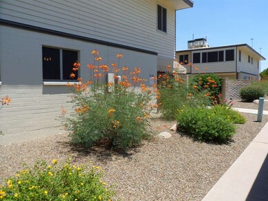 View from Parking Lot (2)