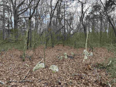 0 Tapp Rd unit 2507886, Cedar Grove, NC 27541 - photo 4