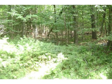 00 Beaver Pond Rd, Lyman, NH 03585 - photo 4