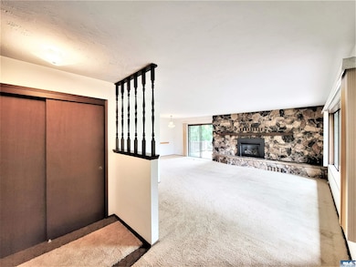 Entry & Living Rooom