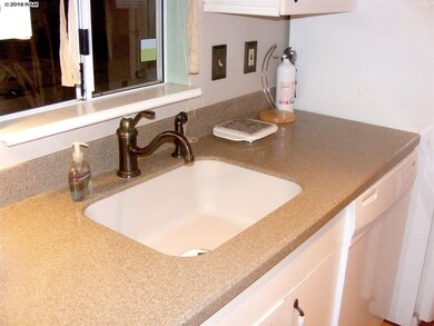 Corian one piece sink and countertop.