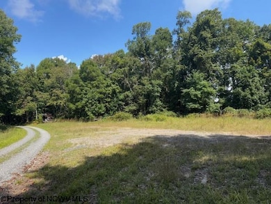 TBD Simpson Rd, Belington, WV 26250 - photo 2