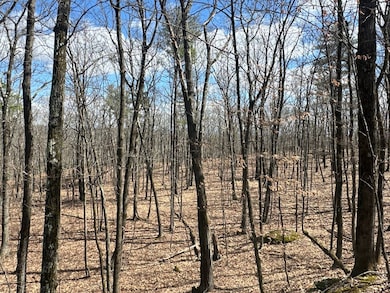 002WP Reservoir Rd, New Baltimore, NY 12192 - photo 4