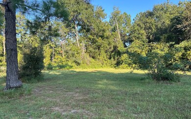 0 Highway 100 unit 128519, Lake Butler, FL - photo 6