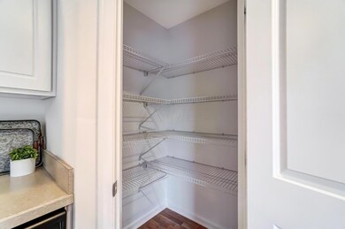 Large Pantry