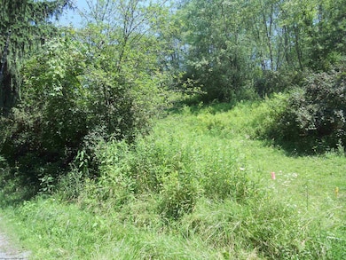 595 Wades Run and Bowlby Rd, Morgantown, WV 26501 - photo 4