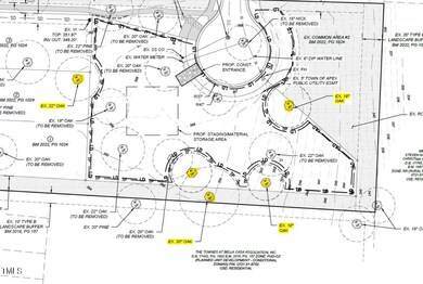 2664 Lake Waccamaw Trail, Apex, NC 27502 - photo 6