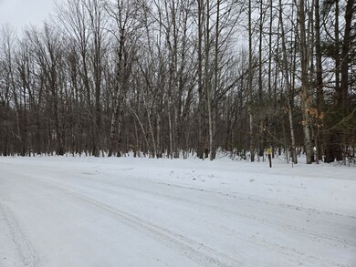 0 Laming Cir unit 201832921, Elmira, MI 49730 - photo 4