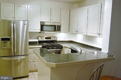 The Pavillion unit 209, Falls Church, VA 22043 - photo 5