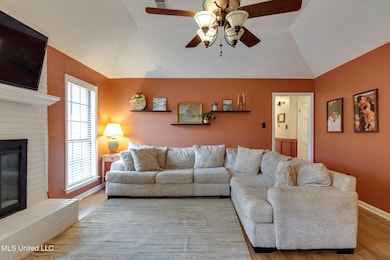 9811 Cherokee Dr, Olive Branch, MS 38654 - photo 5