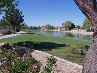 Community lake