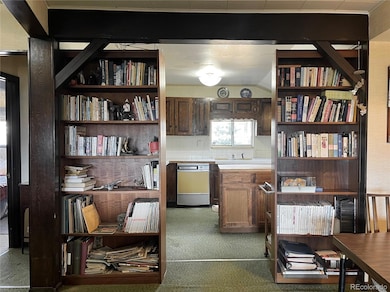 160 S Circle Dr, Bailey, CO 80421 - photo 7