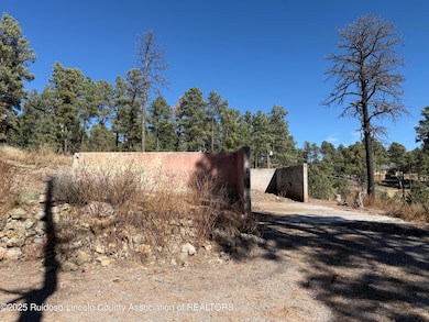 111 Pine Cone Ln, Alto, NM 88312 - photo 6
