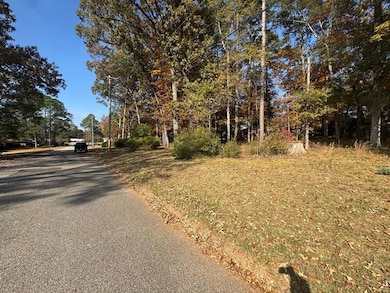 102 W Forest Ave, Troy, AL 36081 - photo 3