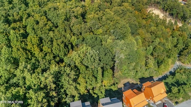 dji_20251010150523_0947_d