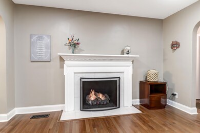 Gas fireplace with remote control