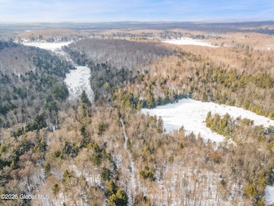 4-00LakeDesolationRd_04