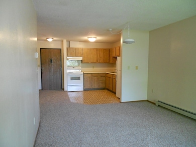 126 1st St SE unit 14, Ortonville, MN 56278 - photo 5