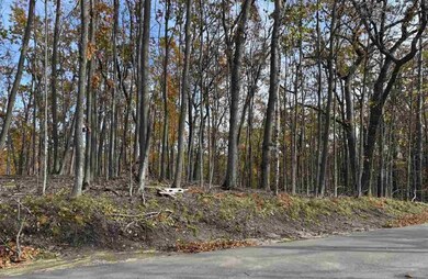 1625 Arrowhead, Harbor Springs, MI 49740 - photo 4